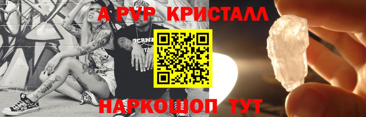Alfa_PVP СК Тосно